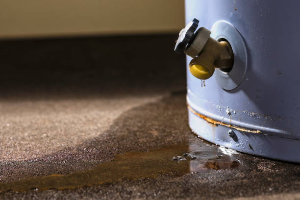 Best Mold removal after water damage  in East Bronson, FL