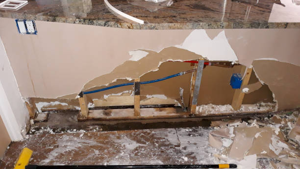 Best Water damage restoration company  in East Bronson, FL