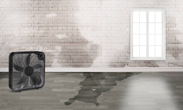  East Bronson, FL Water damage restoration Pros