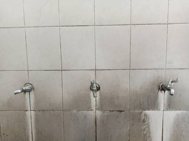 Best Sewage cleanup and water damage restoration  in East Bronson, FL