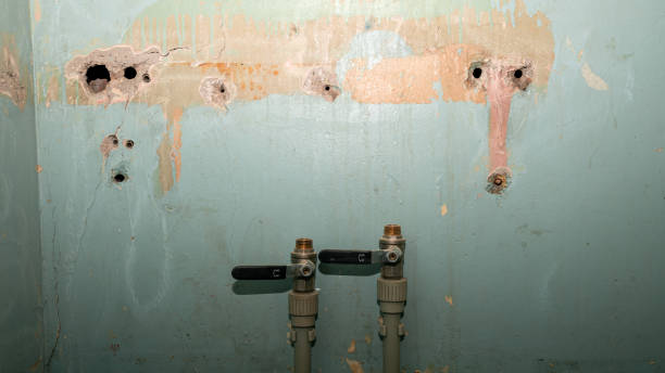 Best 24/7 water damage repair  in East Bronson, FL