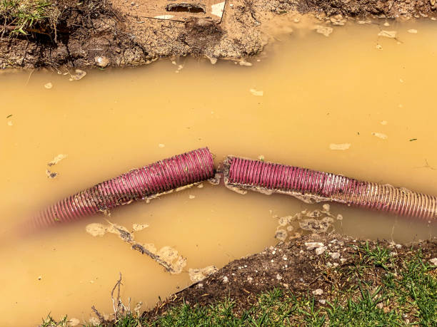Best Residential water damage restoration  in East Bronson, FL