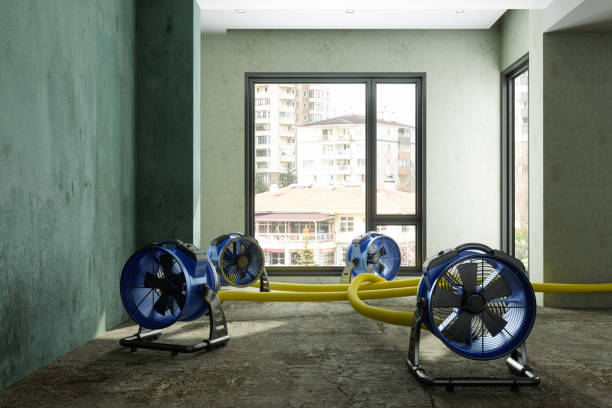 Best Ceiling water damage repair  in East Bronson, FL